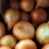 Oignon Haïtien Frais – Indispensable en Cuisine (1 kg)