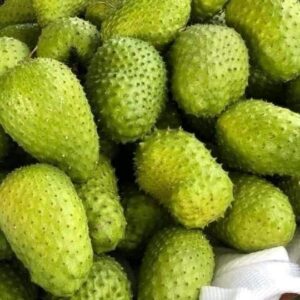 Kowosol Lokal (≈ 3 Lbs)