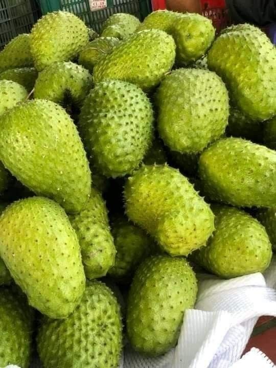 Kowosol Lokal (≈ 3 Lbs)