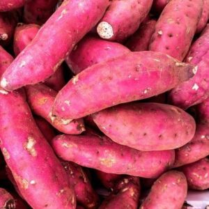 Patat dous Lokal (5 Lbs)