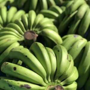 Fig Bannann Vèt Lokal (≈ 5 Lbs)